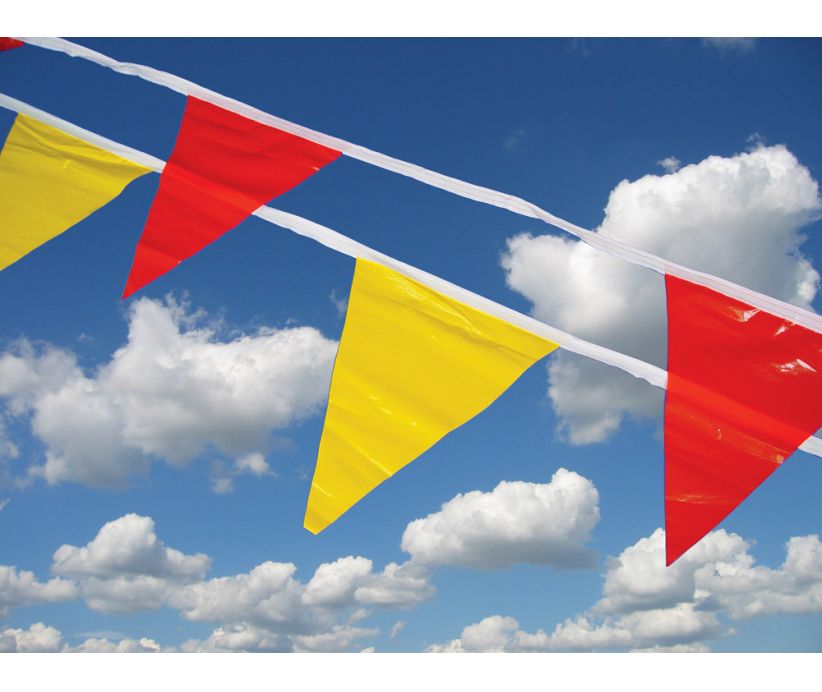 product SAFETY FLAG CO LOOK UP AND LIVE FLAG