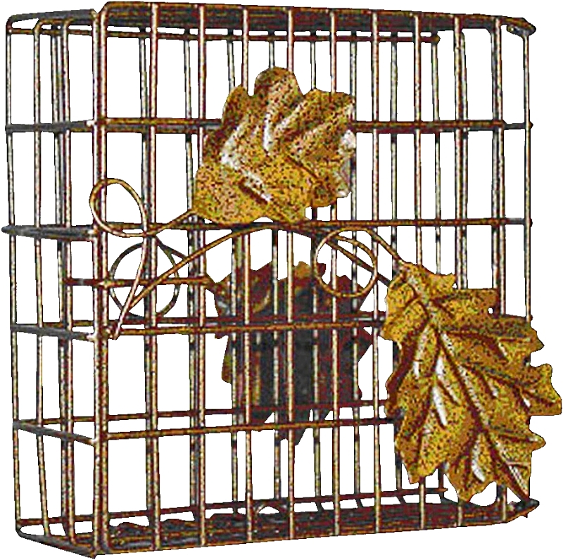 Seed & Suet Cake Bird Feeders
