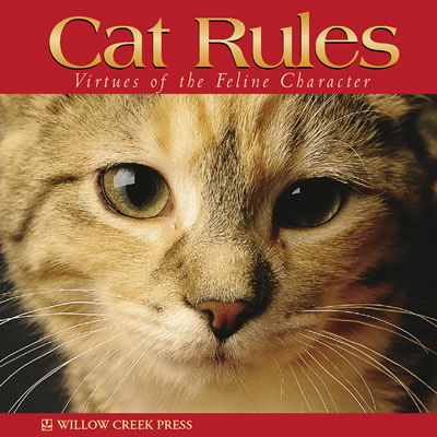 Cat Books & Media