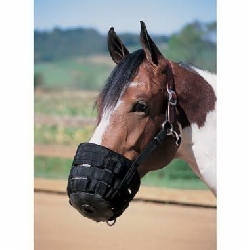 Grazing, Cribbing & Chewing