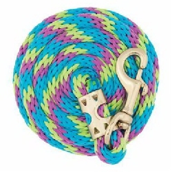 Horse Leads