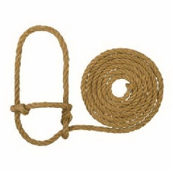 Cow Halters