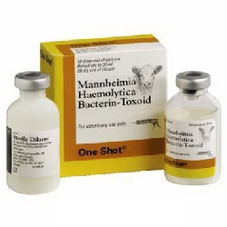 Livestock Vaccines
