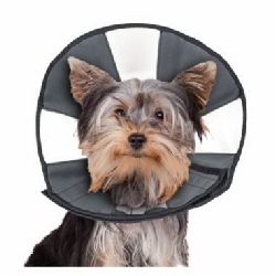 Pet Recovery Collars