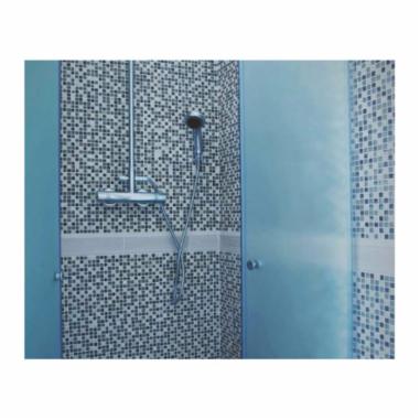 Shower Niches
