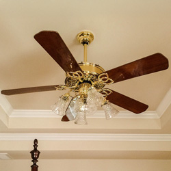 Ceiling Fans & Accessories