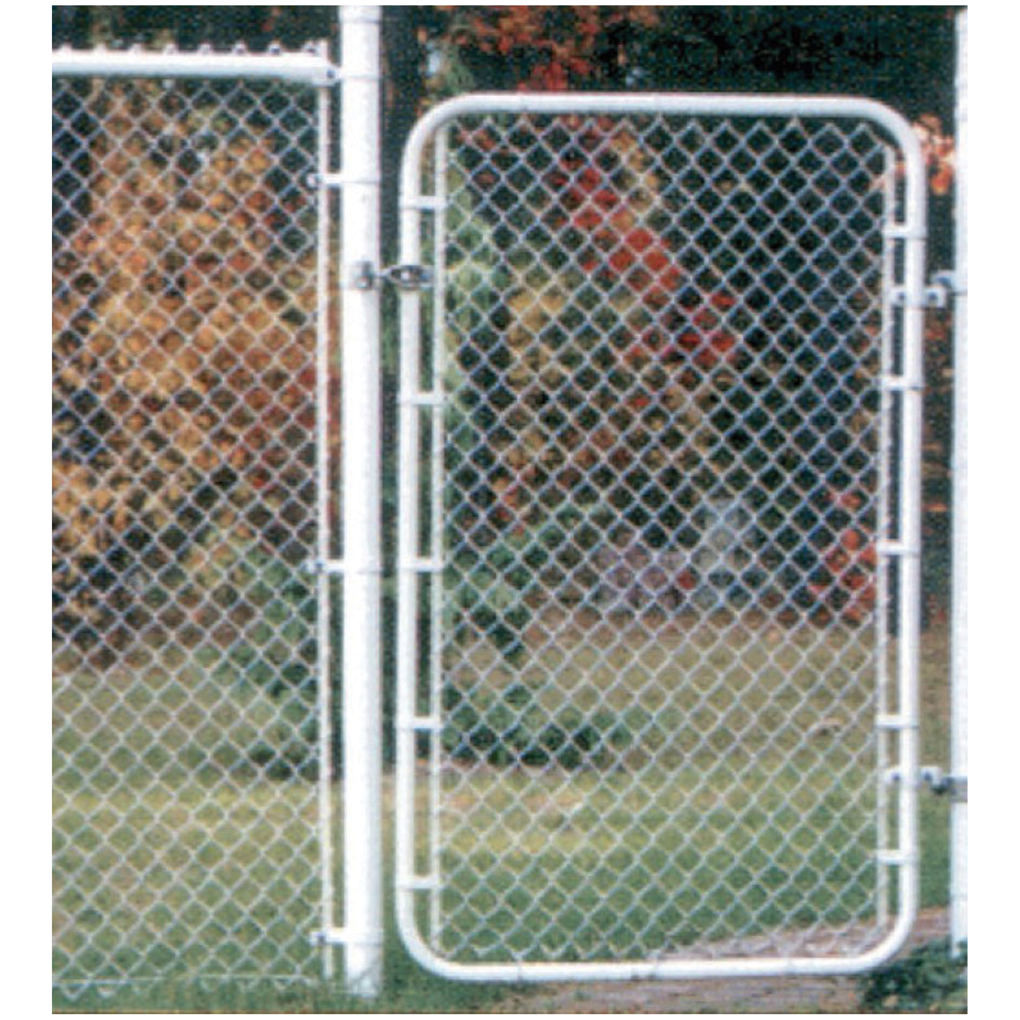 Fence Gates
