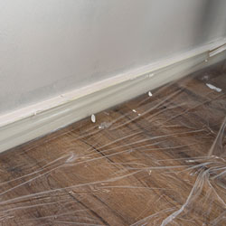 Flooring Protection