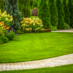 Decorative Landscaping