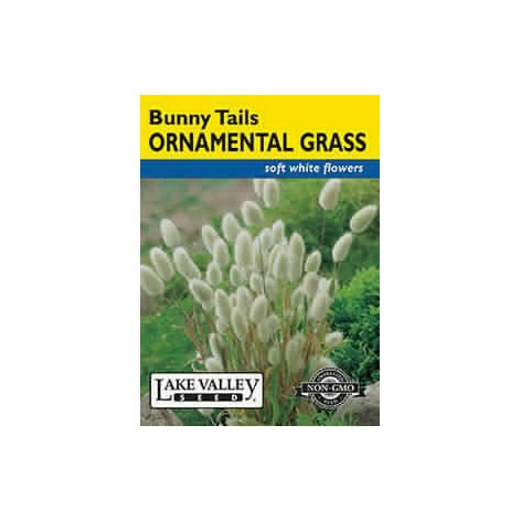 Ornamental Grasses