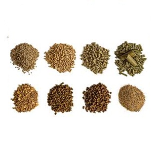 Horse Feeds