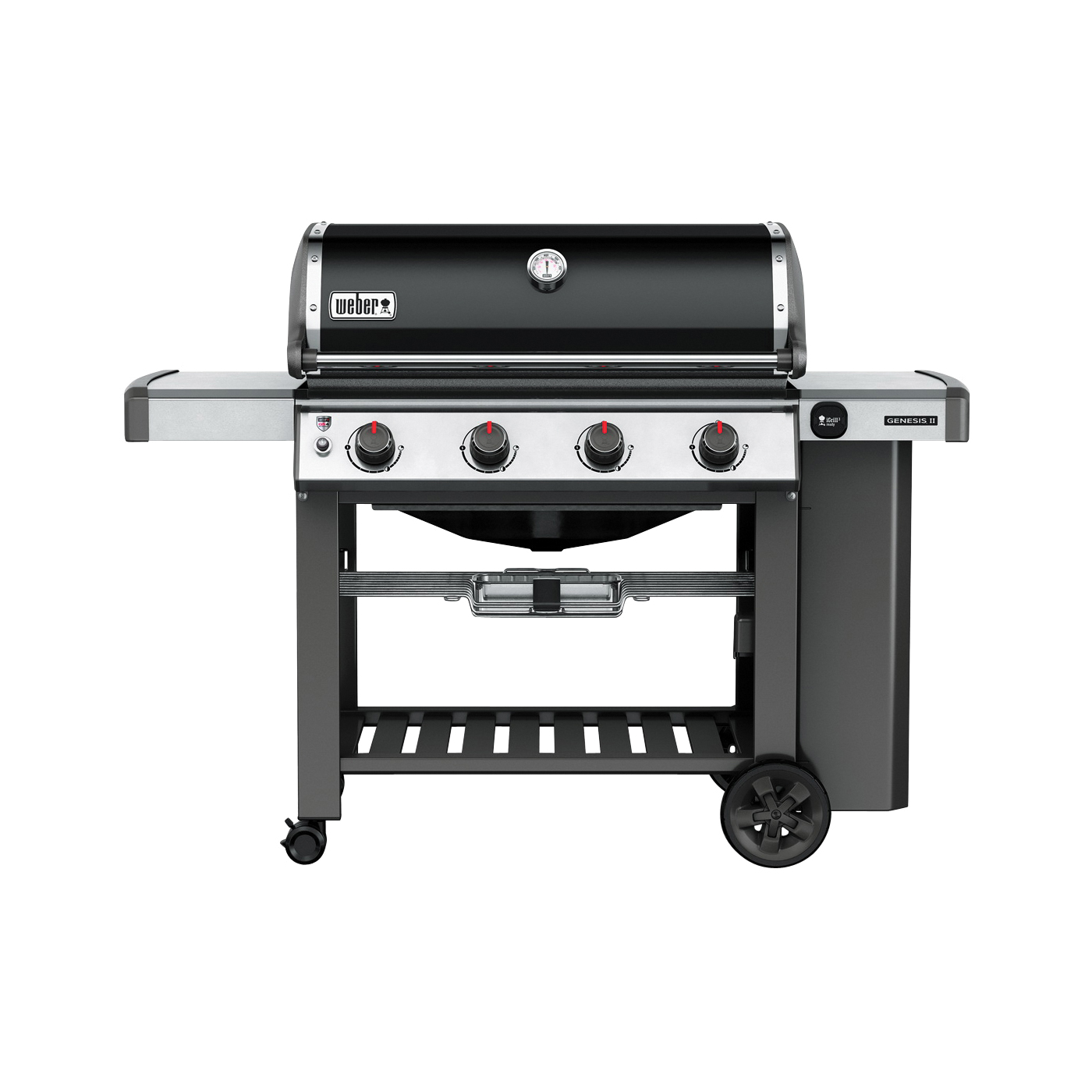 Weber 62010001