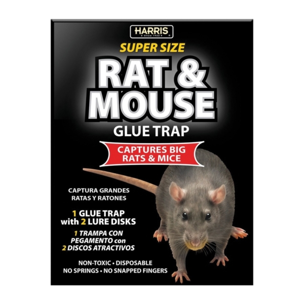 BLKRAT-1 Rat and Mouse Glue Trap