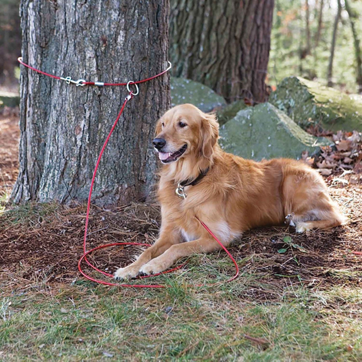 Guardian Gear Q251500099 Pet Tie-Out Belt, 10 ft L Belt/Cable, For: Large Dogs Up to 60 lb - 3