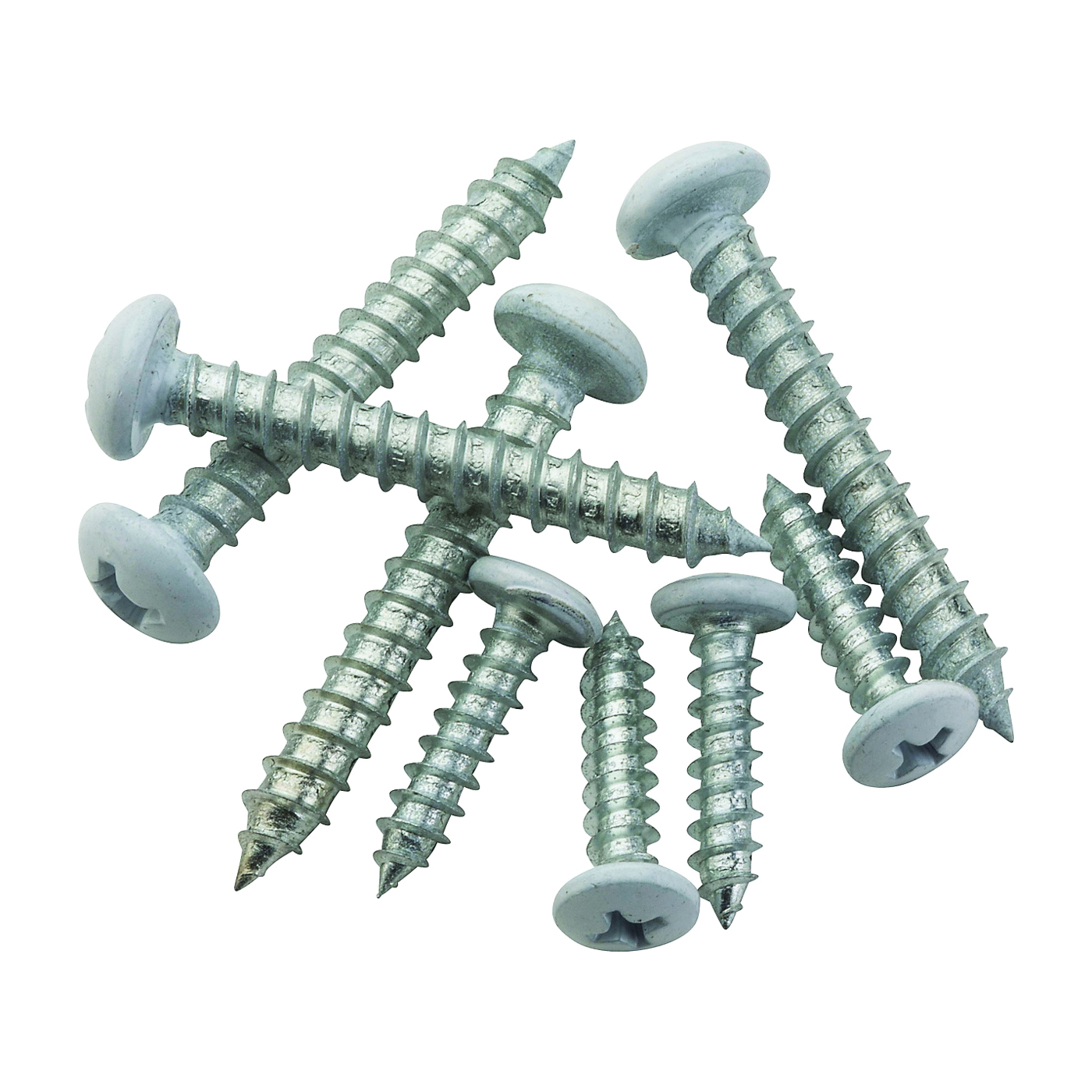 S822-085 Mounting Screw, Steel, White, 8 Pack