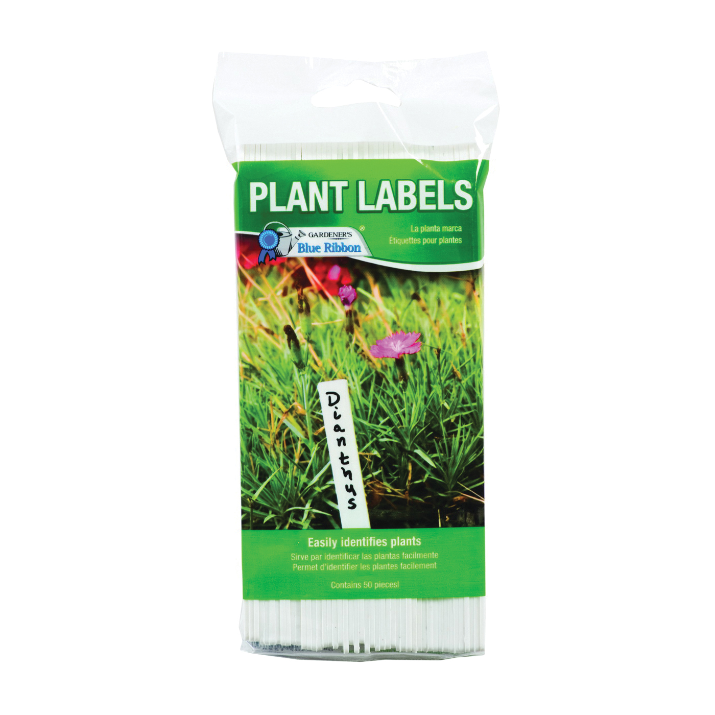 T022B T-Label, Plastic, White Background