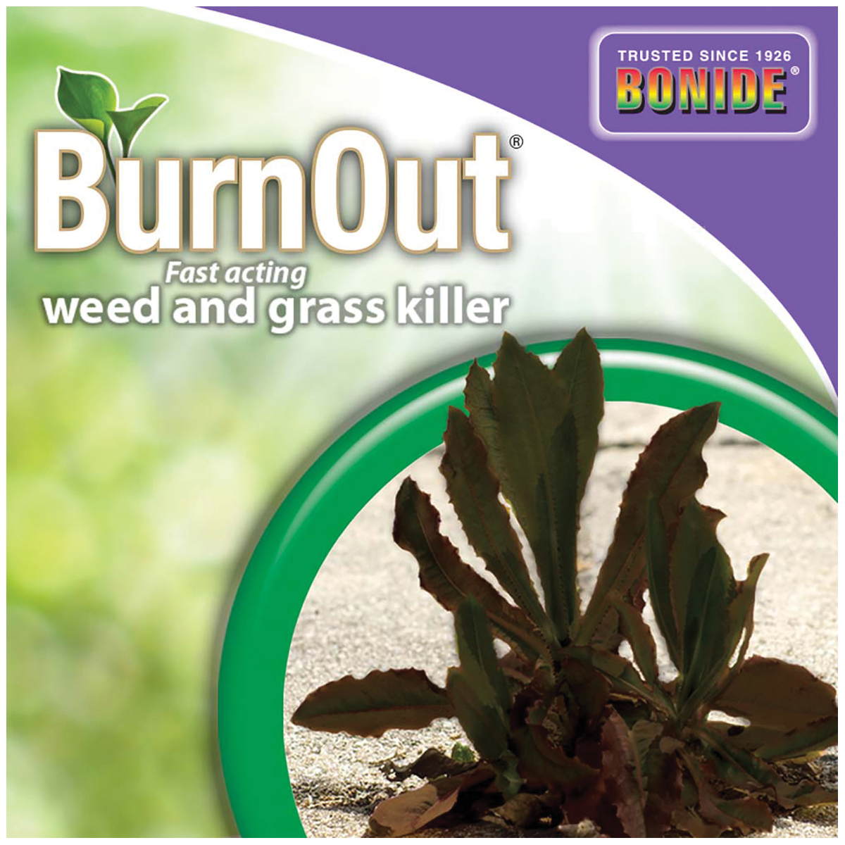 Bonide 7464 Weed and Grass Killer, Liquid, Light Yellow/White, 6 qt