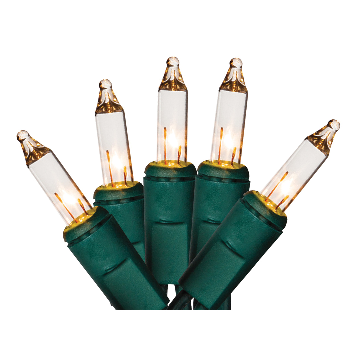 Hometown Holidays W11E0129