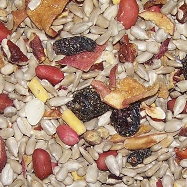Cole's Nutberry Suet Blend NB20 Blended Bird Seed, 20 lb Bag - 1