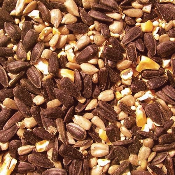 Cole's Blazing Hot Blend BH20 Blended Bird Seed, 20 lb Bag