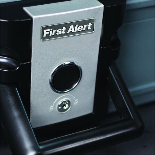 FIRST ALERT 2013F Protector Chest, 0.17 cu-ft Capacity, 14.1 in W x 6-1/4 in D x 11.65 in H Exterior, Resin, Slate - 3