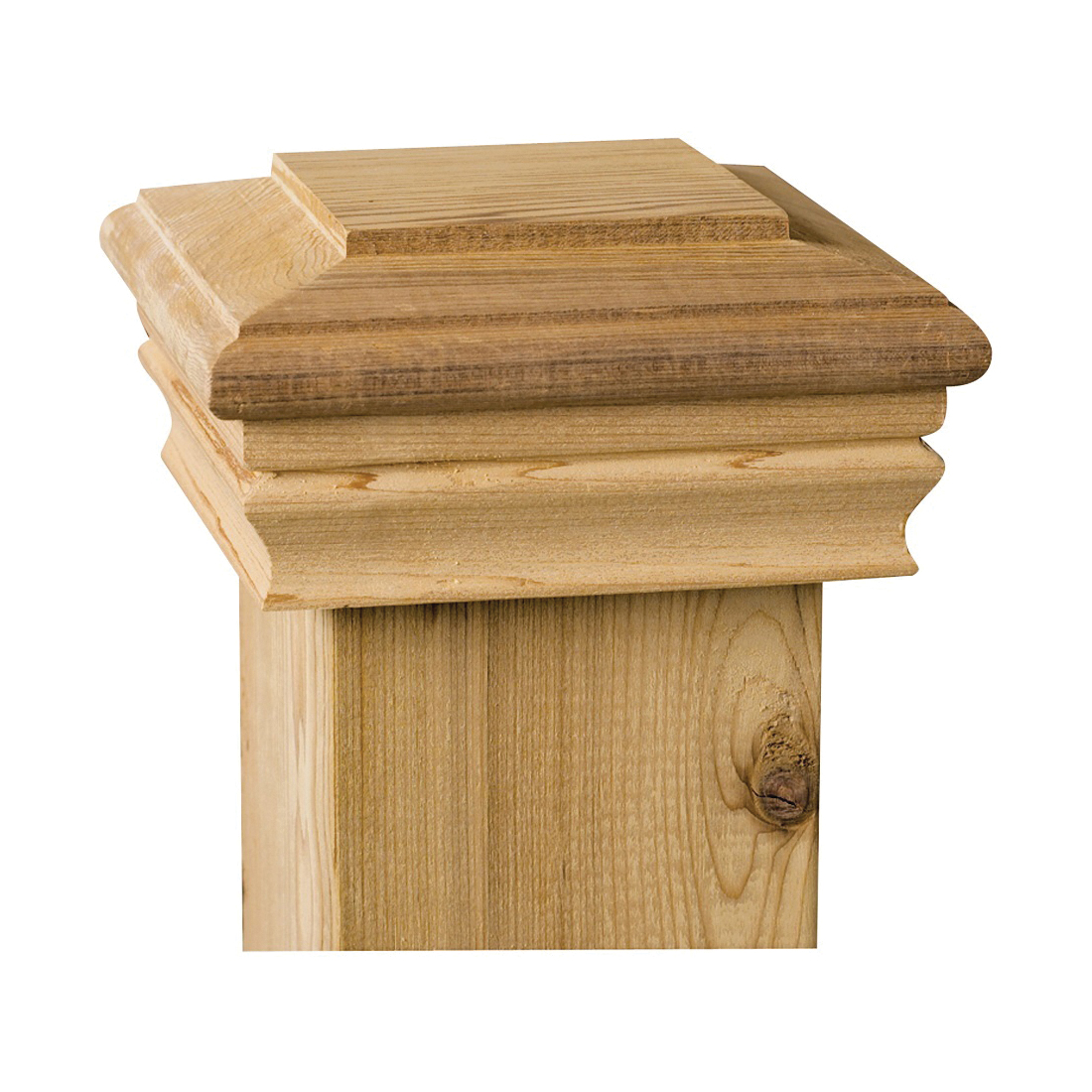 Maine Ornamental 72262