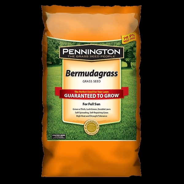 Pennington 100085579