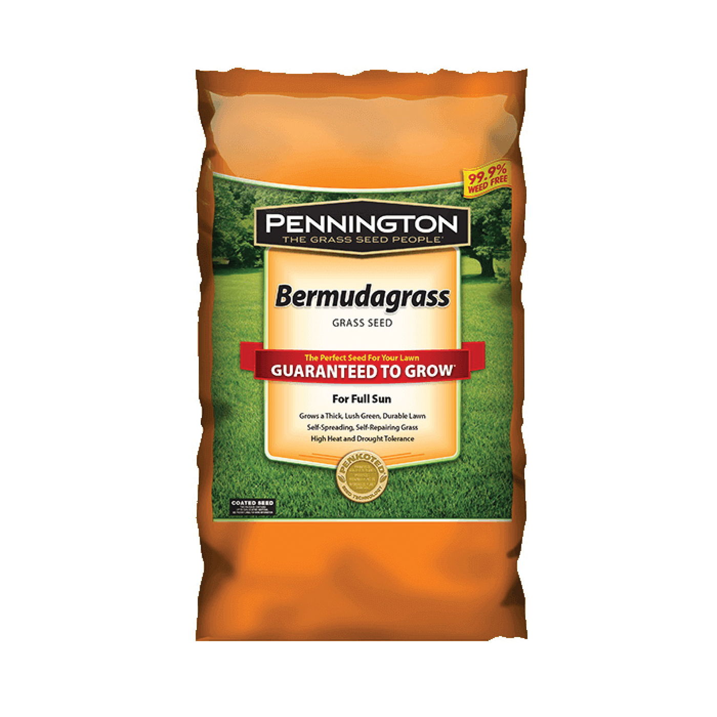 100543734 Bermuda Grass Seed, 1000 sq-ft Coverage Area, 1 lb Bag