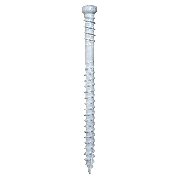 FIN/Trim 16830 Screw, #8 Thread, 2-1/2 in L, Trim Head, Star Drive, Steel, 505 PAIL