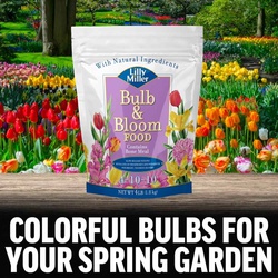 Lilly Miller 100099089 Bulb and Bloom Food, 4 lb Bag, Solid, 4-10-10 N-P-K Ratio - 3
