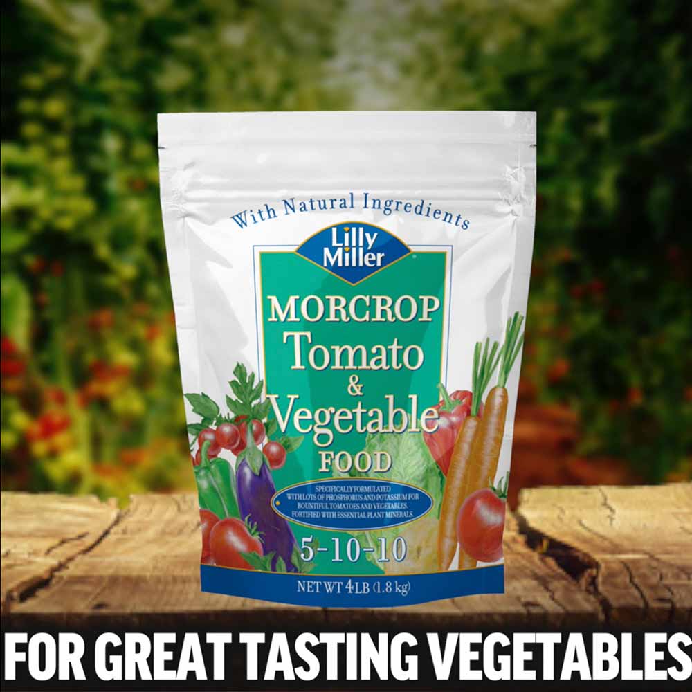 Lilly Miller 100099099 Plant Food, 4 lb Bag, Granular, 5-10-10 N-P-K Ratio