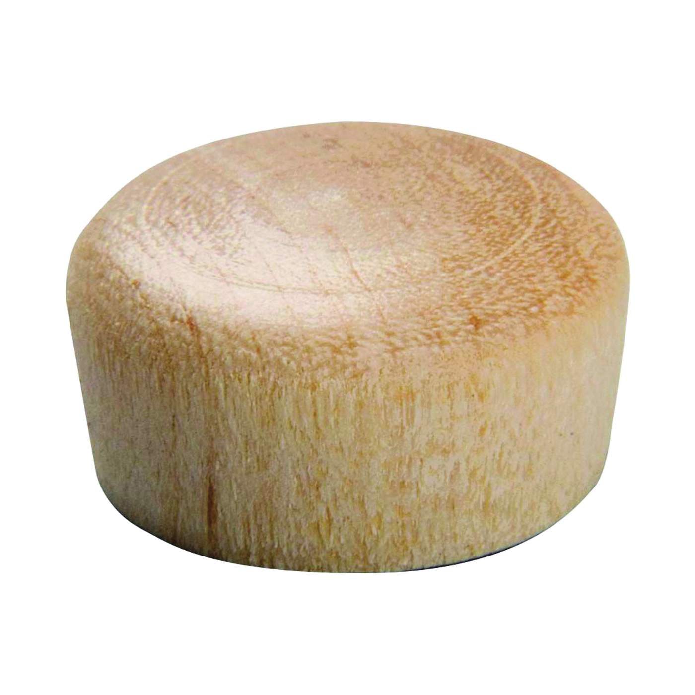 Waddell 8200.31-CS