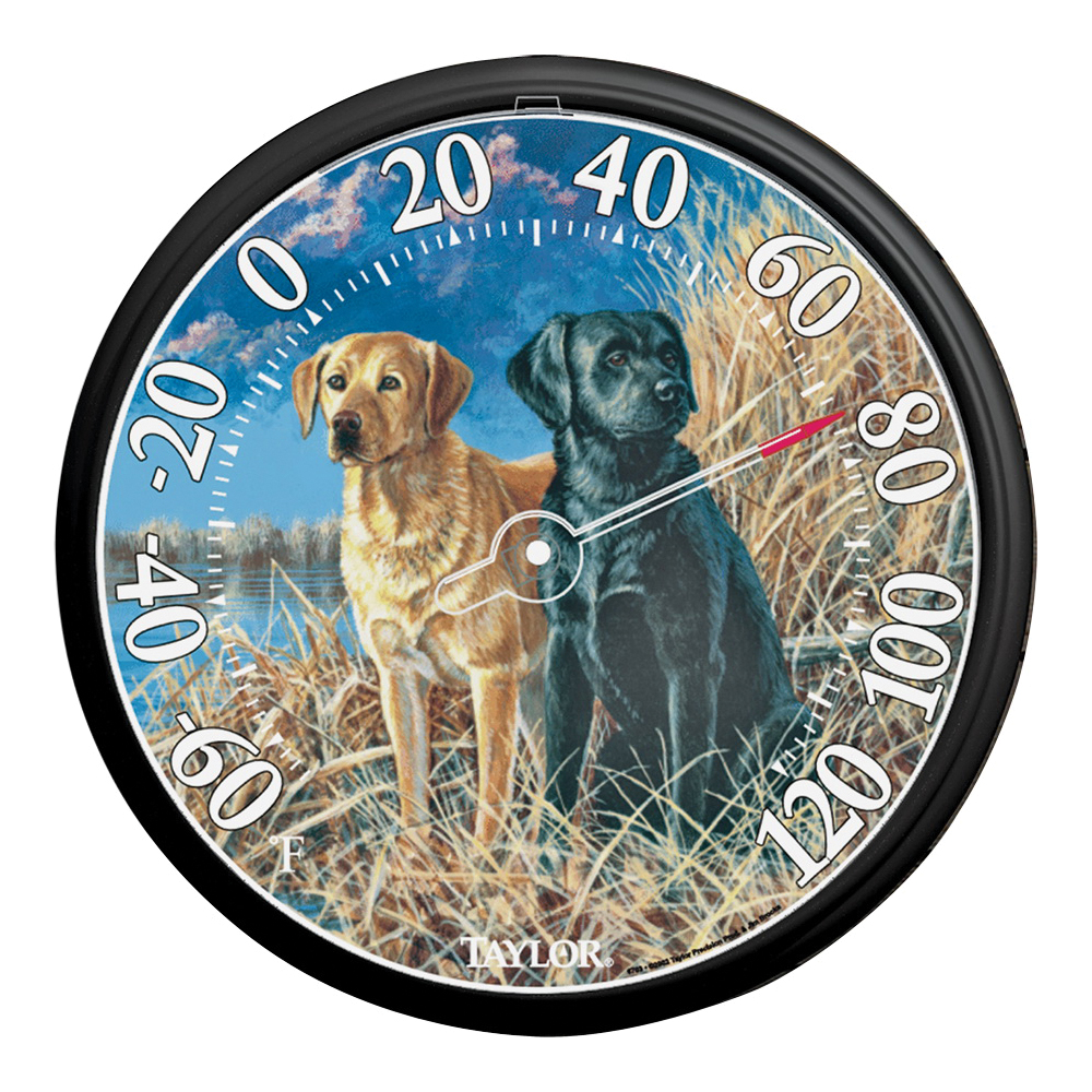 6703N Labrador Thermometer, 13-1/4 in Display, -60 to 120 deg F