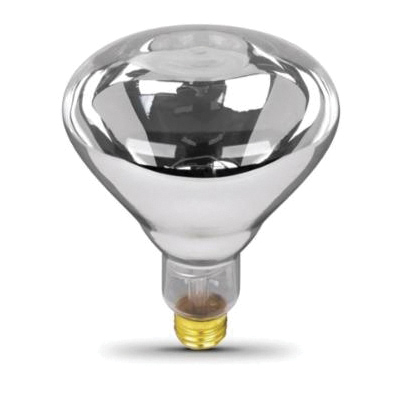 250R40/1 Incandescent Lamp, 250 W, R40 Lamp, Medium E26 Lamp Base, 2200 Lumens, 2700 K Color Temp