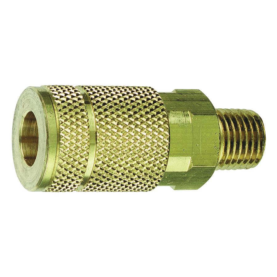 13-125 Coupler, 1/4 in, MNPT, Brass