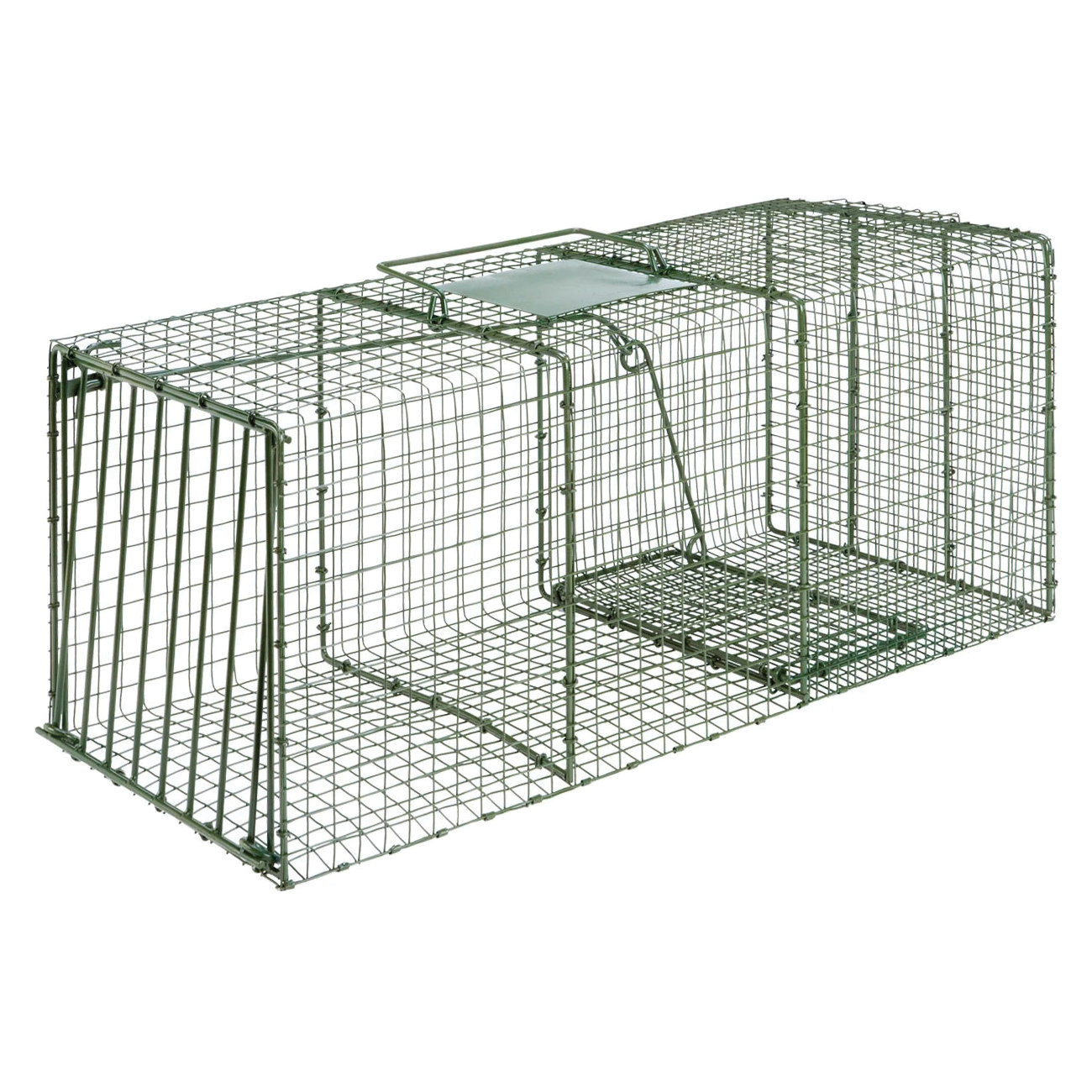 1114 Cage Trap, 36 in L, 15 in W, 14 in H, Spring-Loaded Door