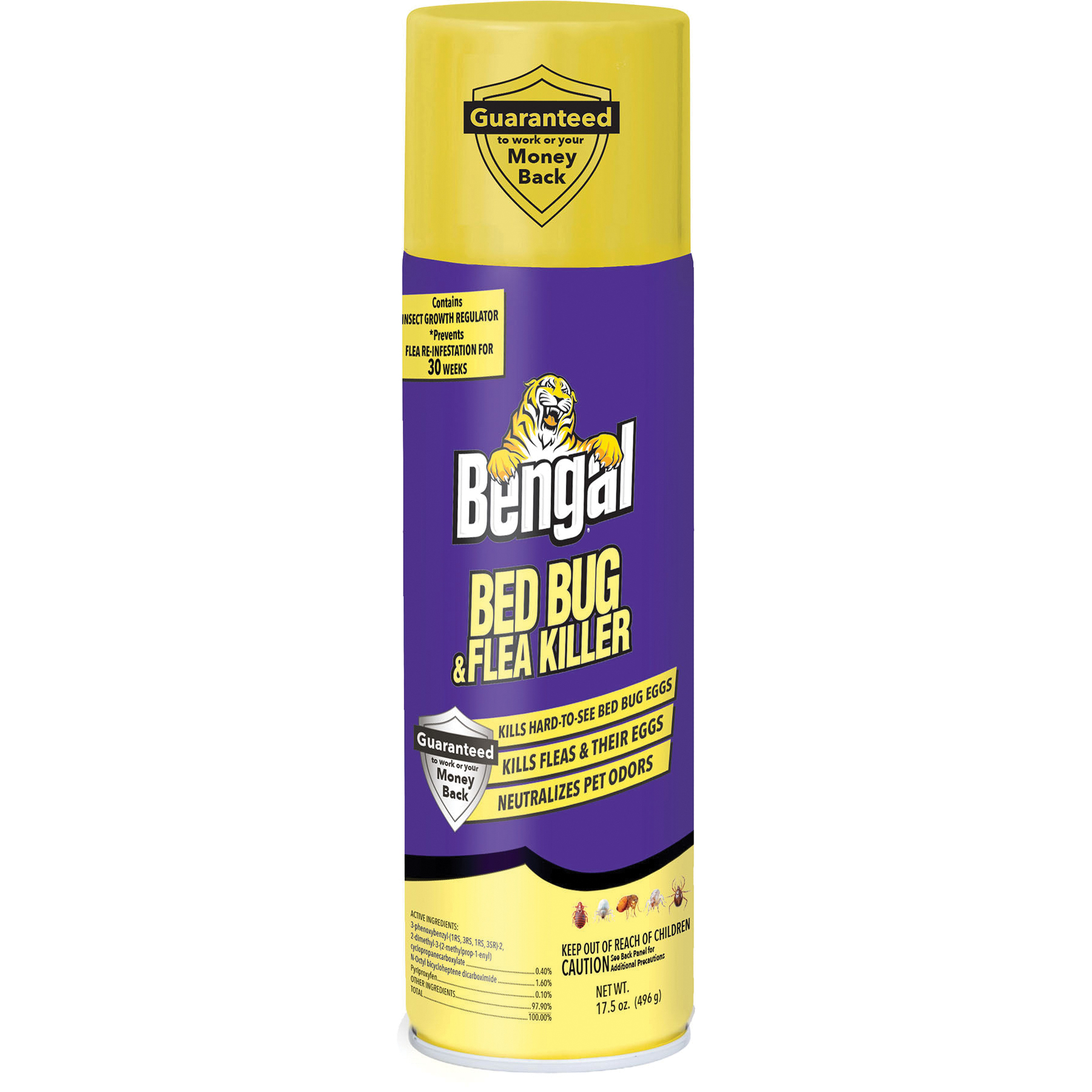 87560 Bed Bug and Flea Killer, Liquid, Spray Application, Indoor, 17.5 oz Bottle