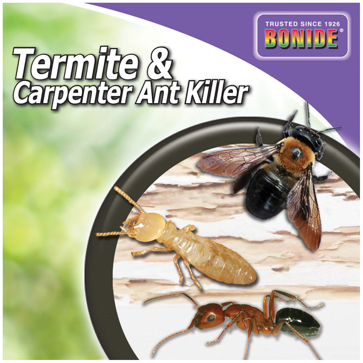 Bonide 569 Termite and Carpenter Ant Control, Liquid, 0.5 gal Can