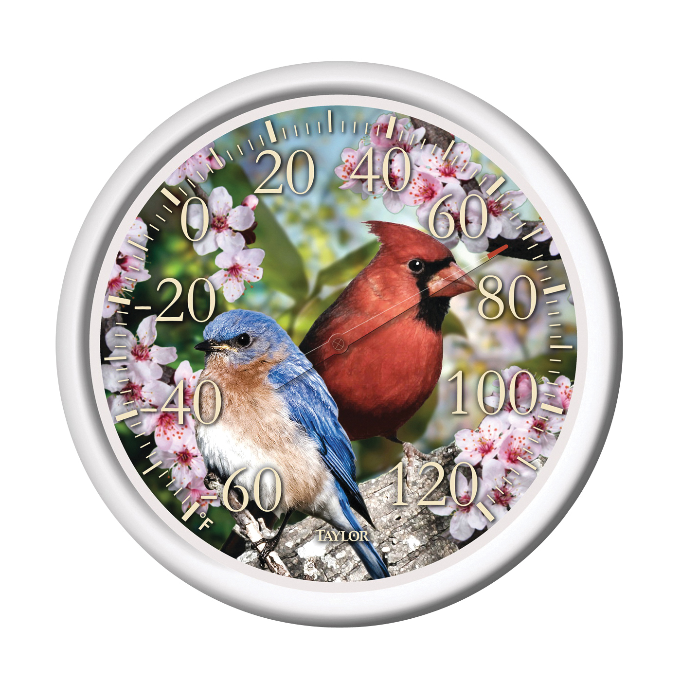 6733 Thermometer, 12.72 x 12.5 x 11.38 in Dimensions