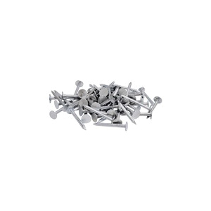 Orgill Bulk Nails 50112080