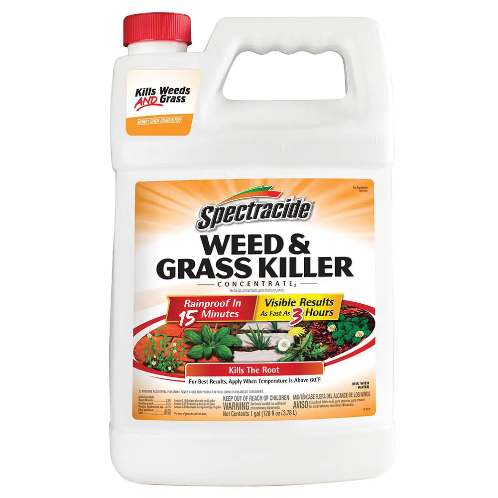 HG-66001 Weed and Grass Killer, Liquid, Amber, 16 oz