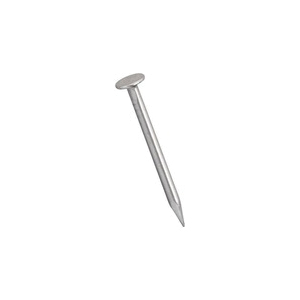 N278-127 Wire Nail, 5/8 in L, Steel, Bright, 1 PK