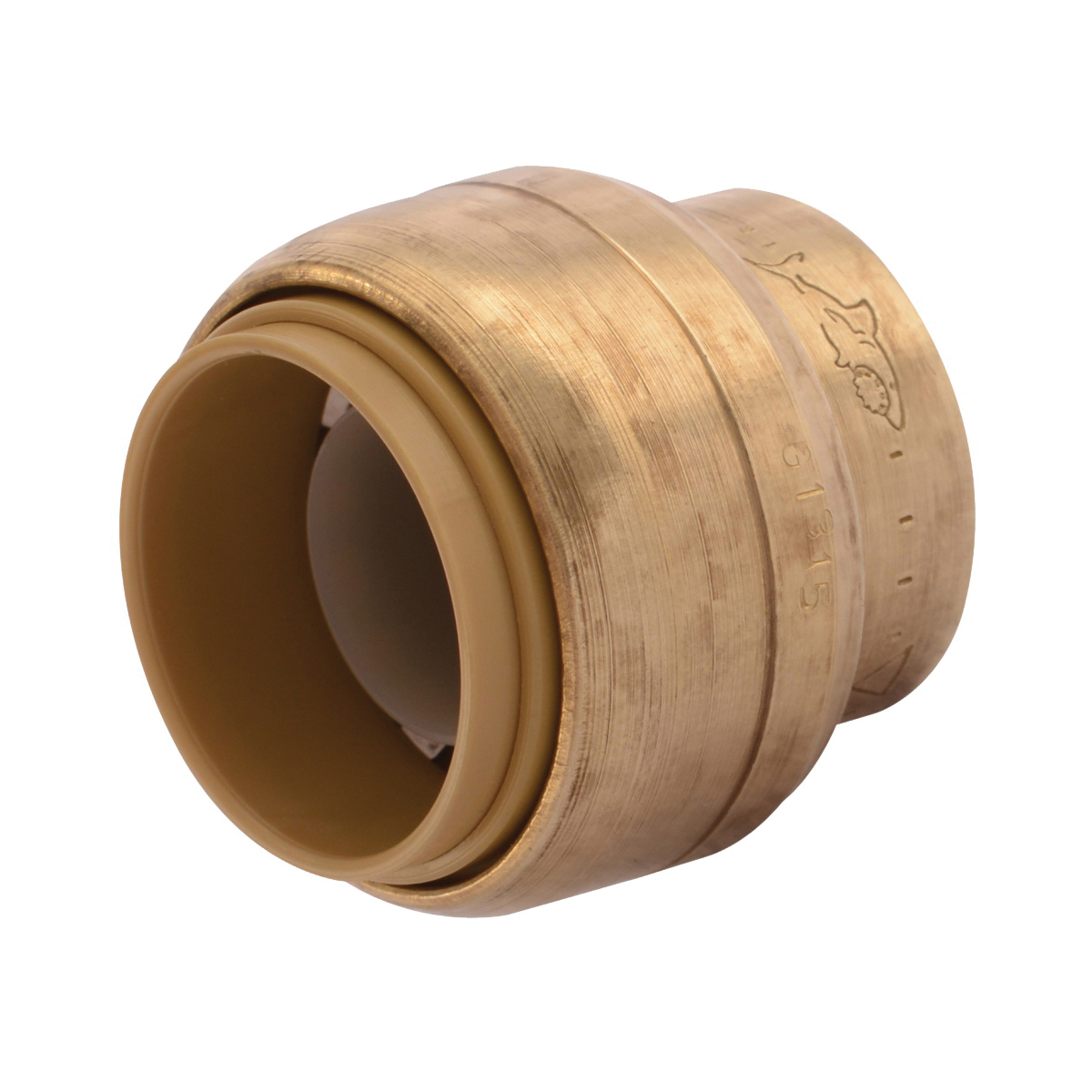 U518LFA End Cap, 3/4 in, Brass, Chrome, Silver, 200 psi Pressure