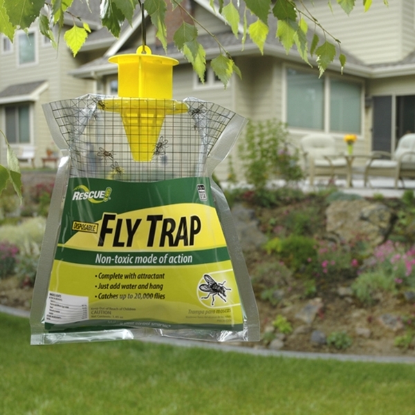 RESCUE FTD-FD48 Fly Trap, Solid, Musty - 1