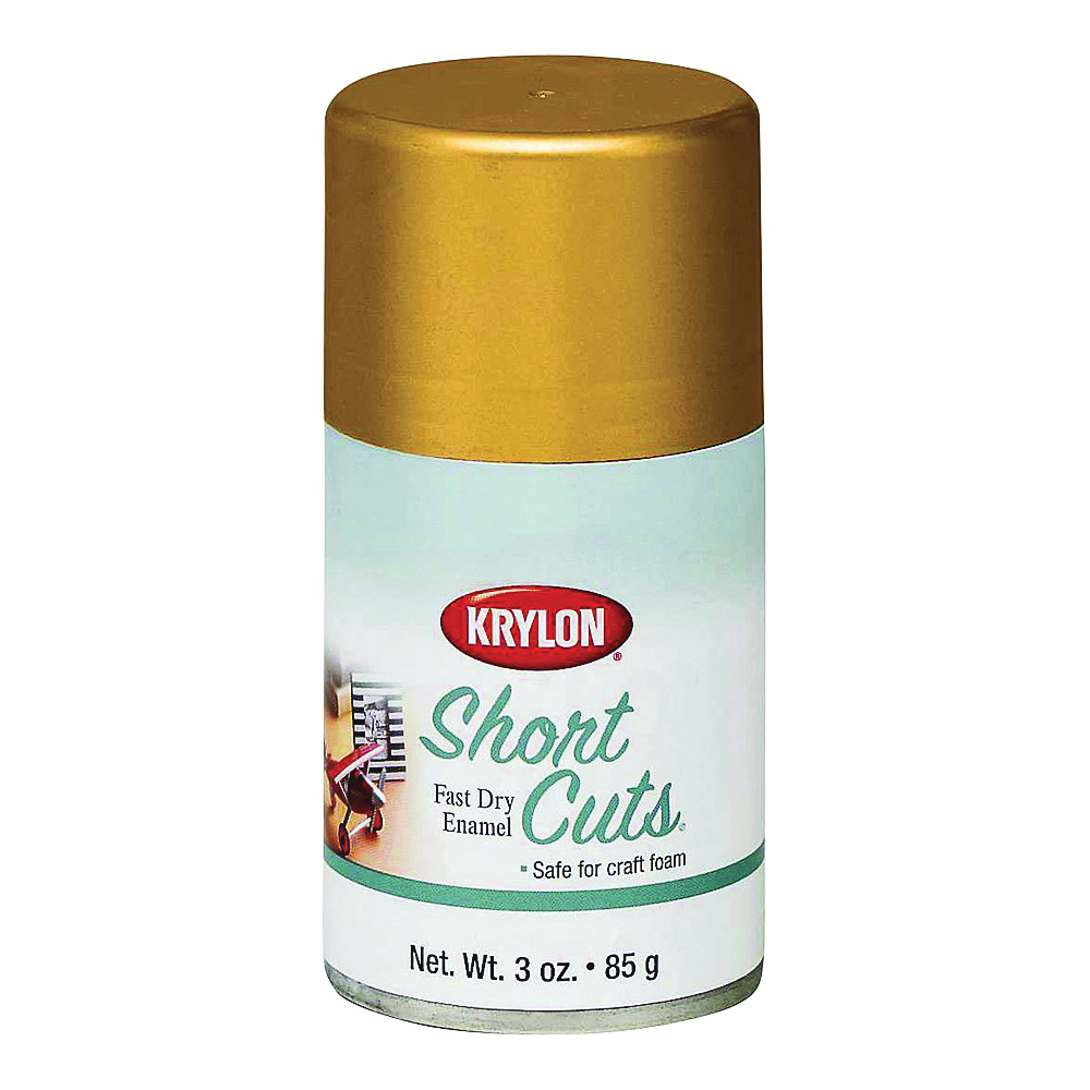 Krylon KSCS029