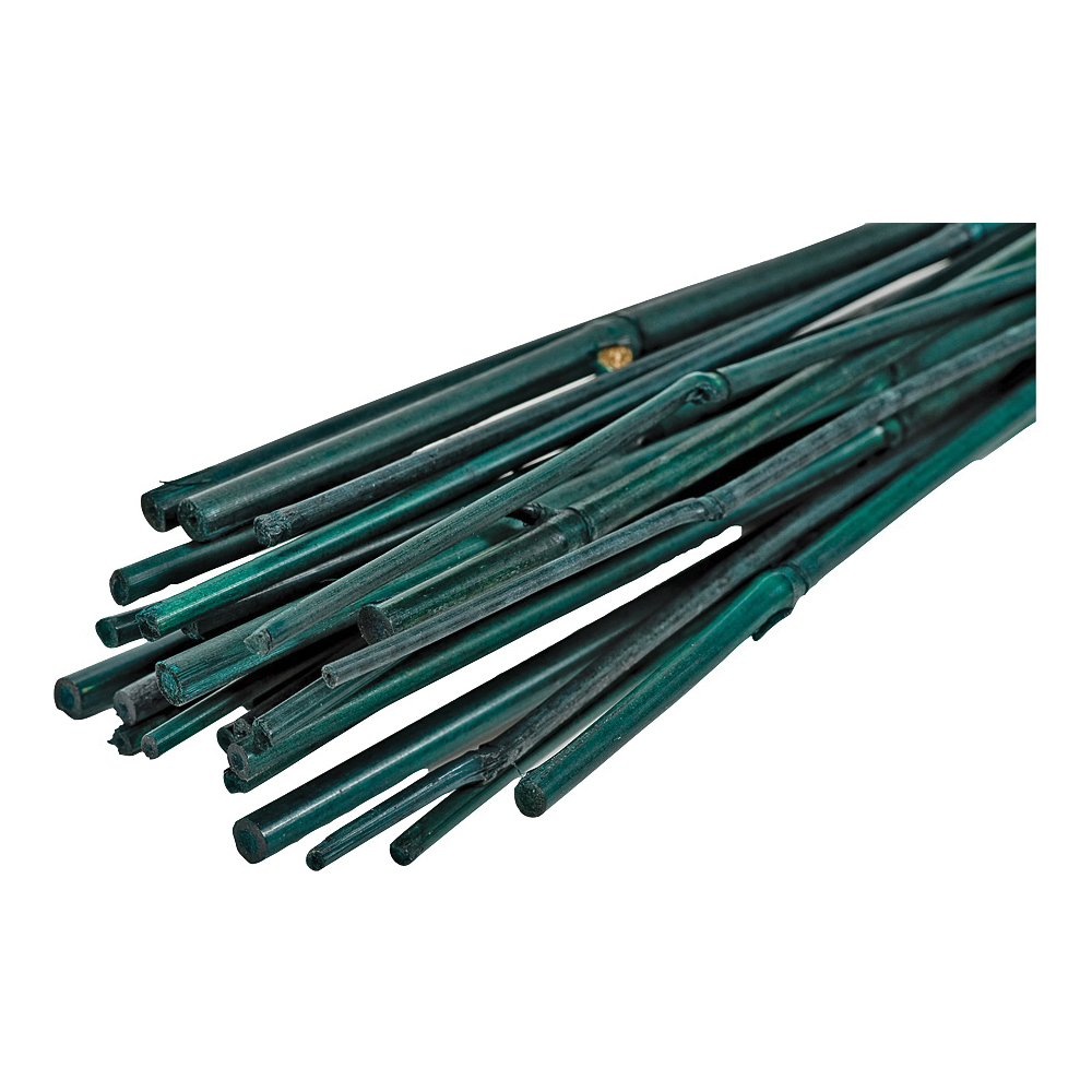 BB3 Plant Stake, 36 in L, Bamboo, Natural Bamboo, Pack of 12