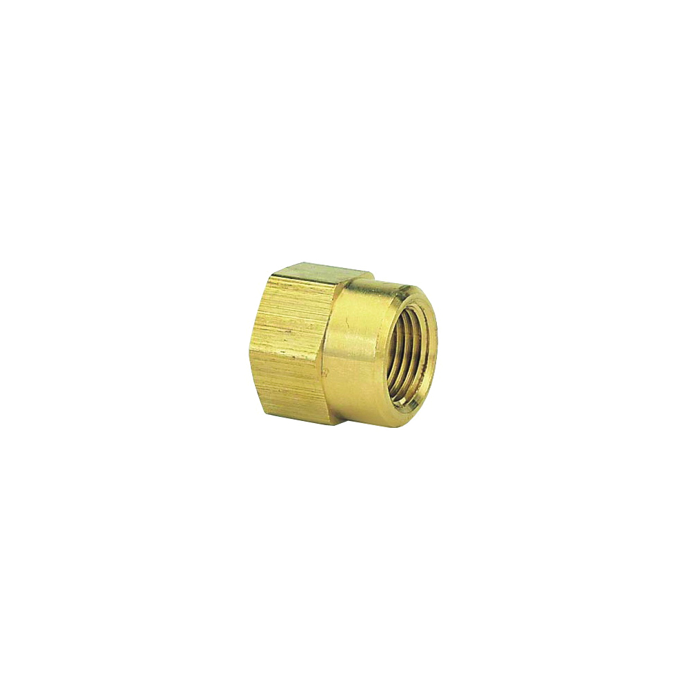 800574-1001 Hose Connector, 1/2 x 3/4 in, FNPT x FNH, Brass