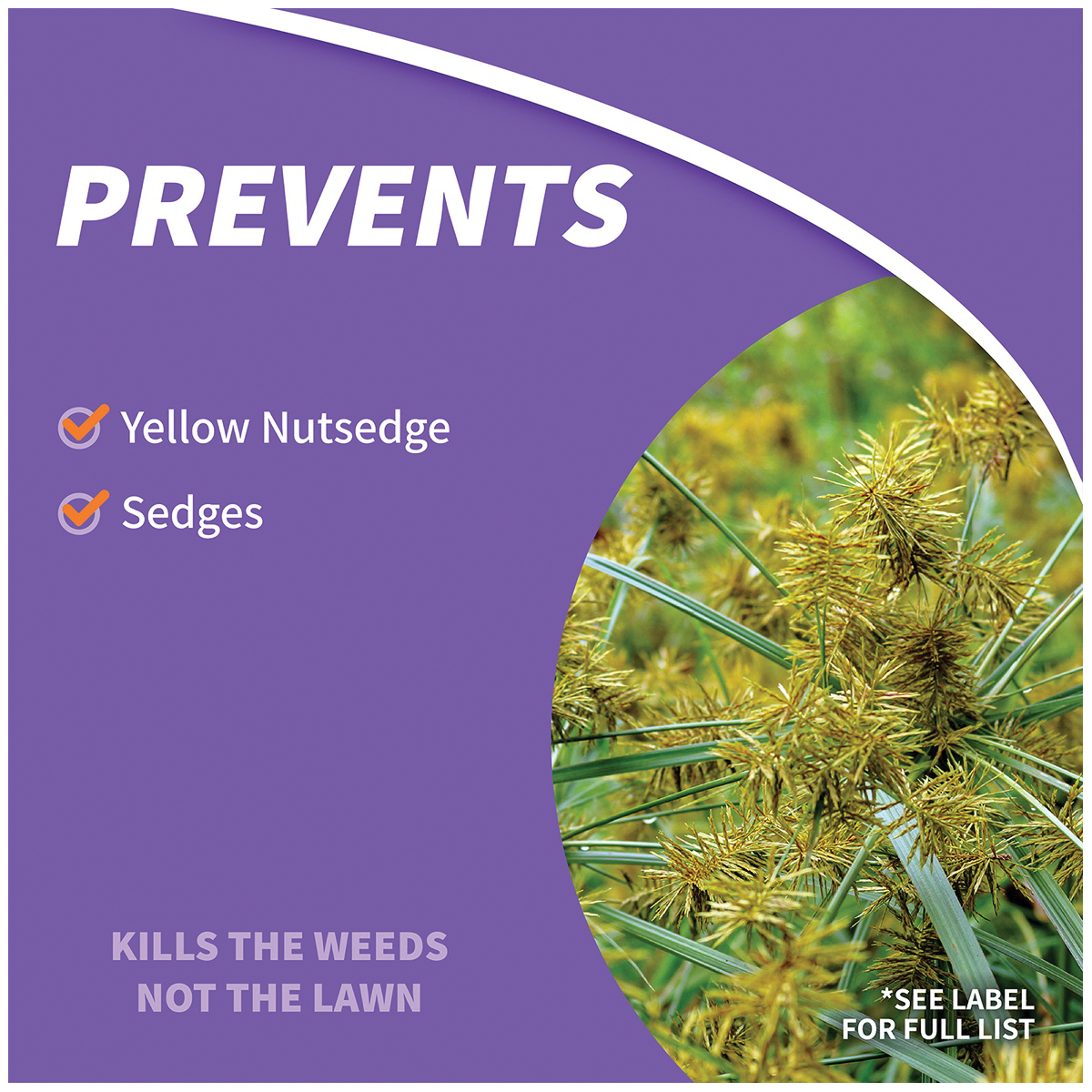 Bonide Sedge Ender 069 Crabgrass and Nutsedge Killer, Liquid, Yellow, 16 oz