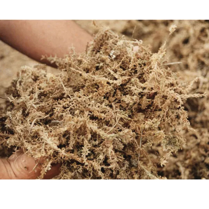 Sphagnum Moss, Mosser Lee, Natural, 432 cu-in Bag - 3