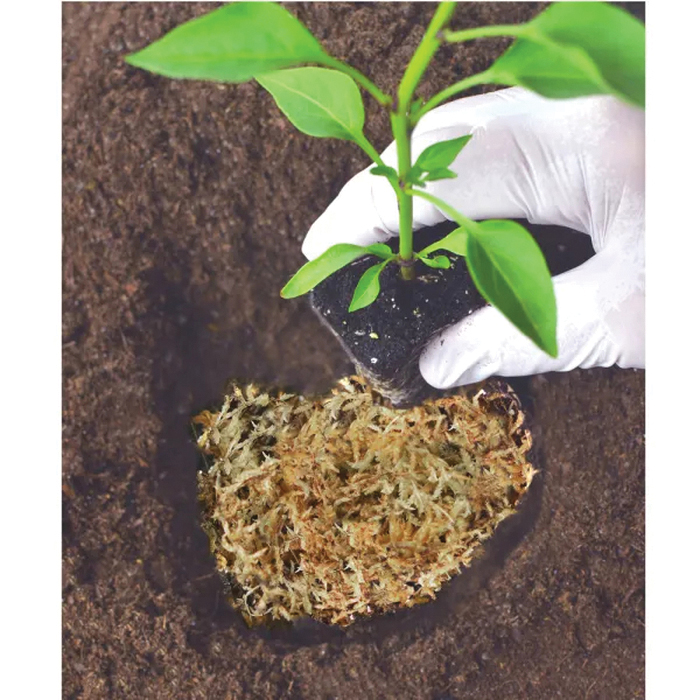 Sphagnum Moss, Mosser Lee, Natural, 432 cu-in Bag - 5